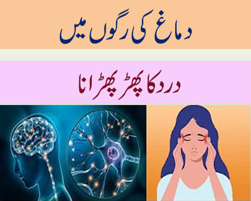 دماغ کی رگوں میں درد کا پھڑ پھڑانا