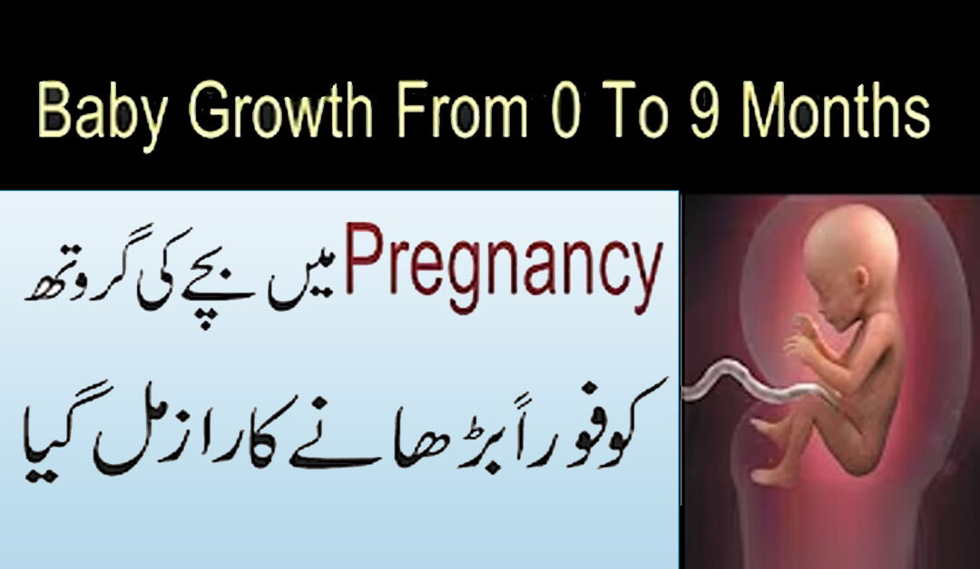 Pregnancy Mein Bachay Ki Growth