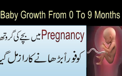 Facts Of Baby Growth From 0 To 9 Months