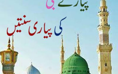 Pyare Nabi Ki Pyari Sunnatain | Sunnat e Rasool In Urdu | Prophet Muhammad (S.A.W) Quotes