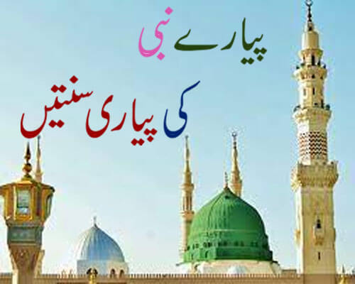 Pyare Nabi Ki Pyari Sunnatain | Sunnat e Rasool In Urdu | Prophet Muhammad (S.A.W) Quotes