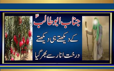 Hazrat Abu Talib Ka Waqiya | Jannat Se Phal Ka Aaina | Islam Ka Safar