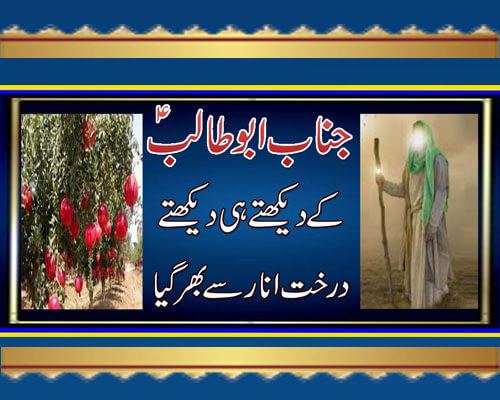 Hazrat Abu Talib Ka Waqiya | Jannat Se Phal Ka Aaina | Islam Ka Safar